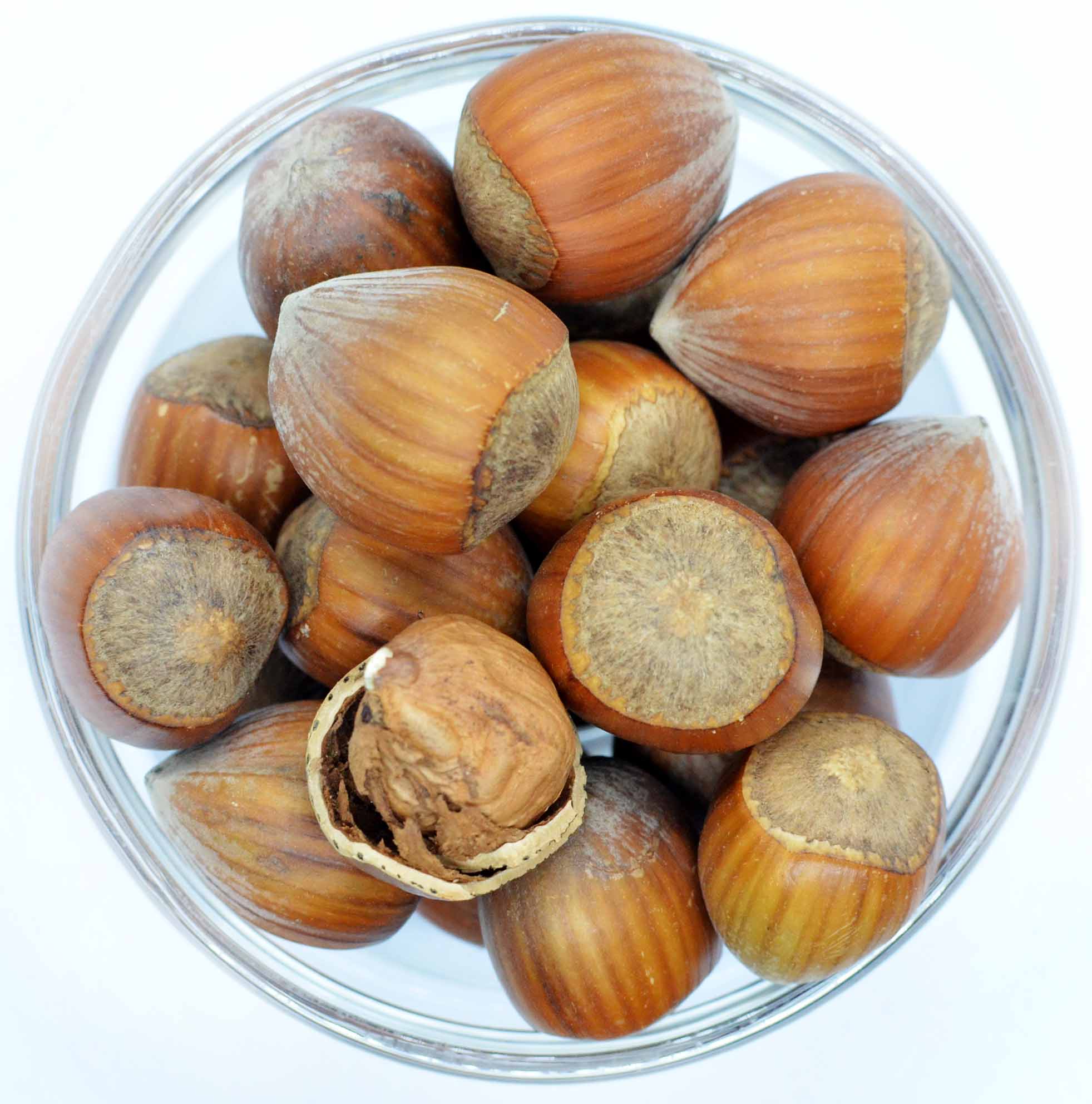 Lazdynai kevaluose Lazdynai kevaluose