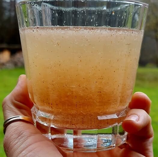 Gysločio luobelių gėrimas